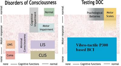 Effects of a Vibro-Tactile P300 Based Brain-Computer Interface on the Coma Recovery Scale-Revised in Patients With Disorders of Consciousness